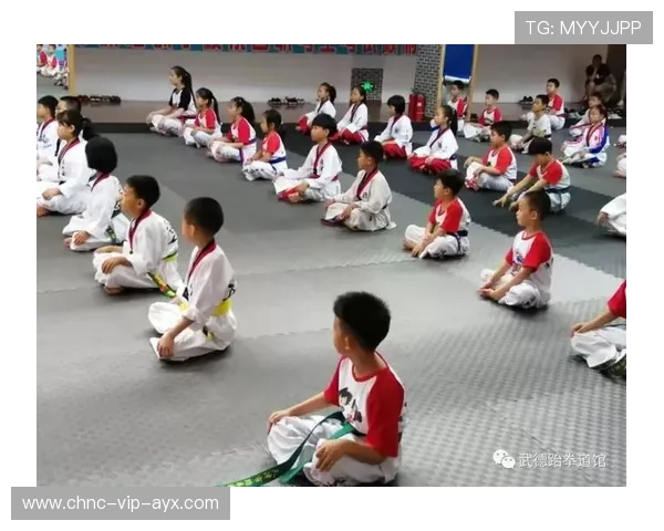 跆拳道联盟推动青少年武德教育与心理辅导并重，青少年跆拳道协会